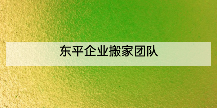 东平企业搬家团队