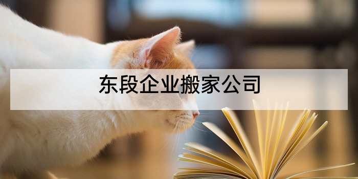 东段企业搬家公司