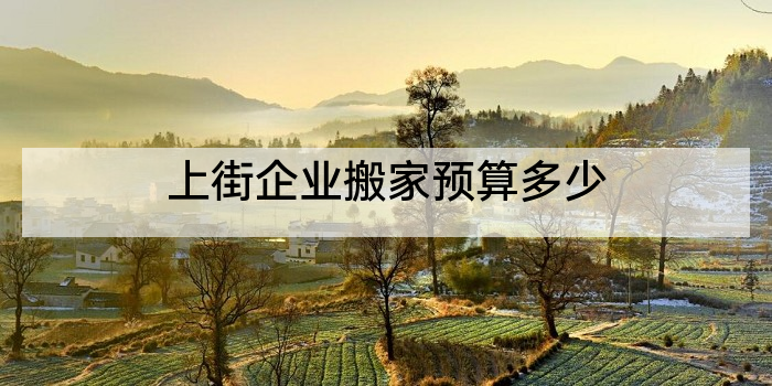 上街企业搬家预算多少