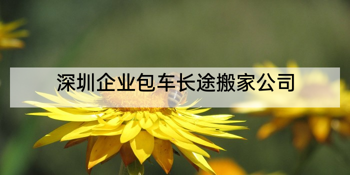 深圳企业包车长途搬家公司