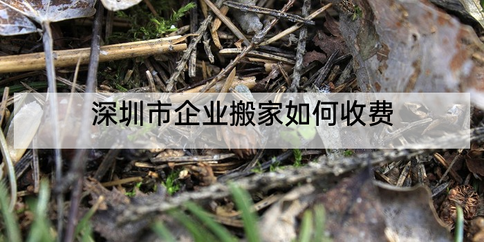 深圳市企业搬家如何收费