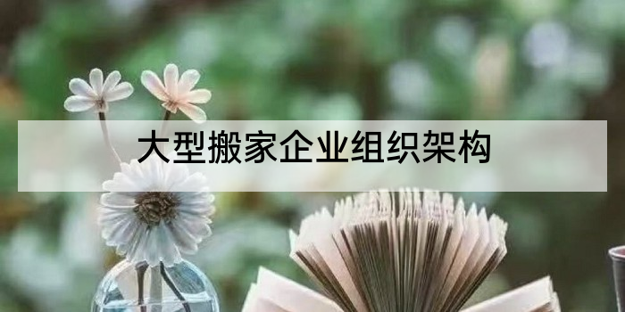 大型搬家企业组织架构