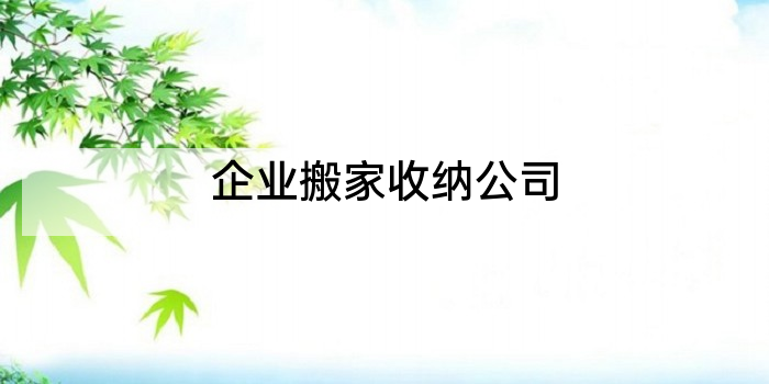企业搬家收纳公司