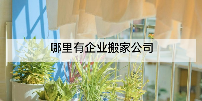 哪里有企业搬家公司