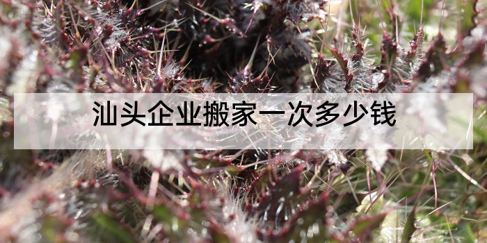 汕头企业搬家一次多少钱