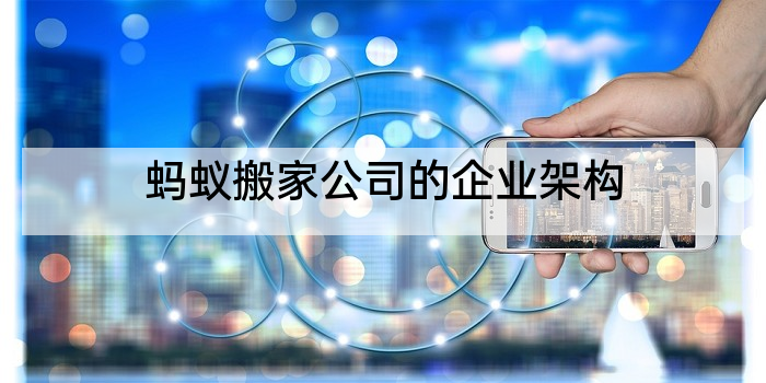 蚂蚁搬家公司的企业架构