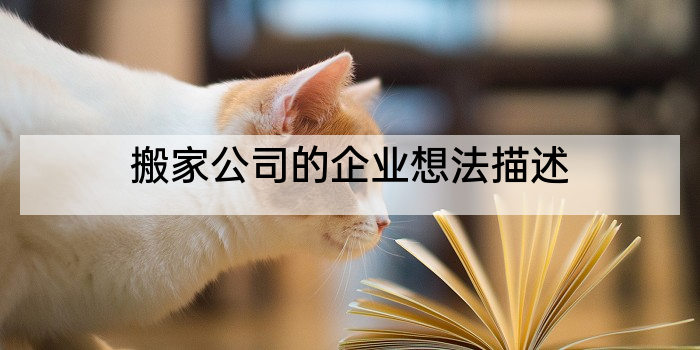 搬家公司的企业想法描述