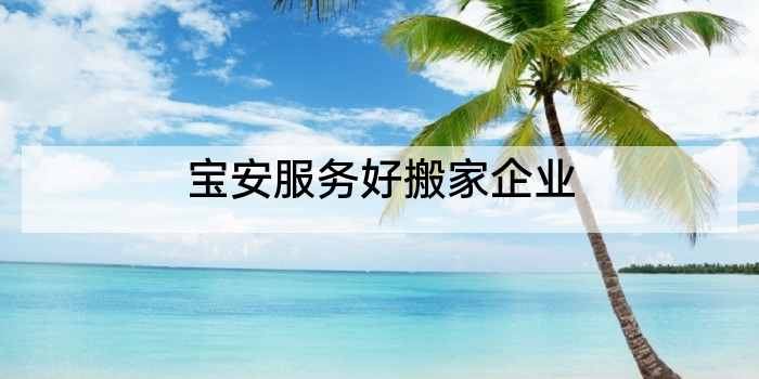 宝安服务好搬家企业