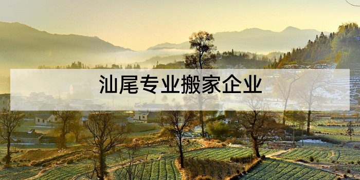 汕尾专业搬家企业