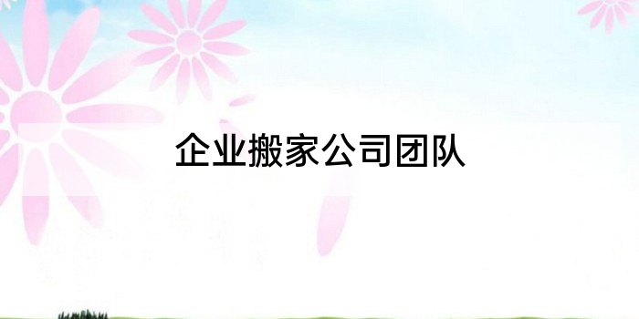 企业搬家公司团队