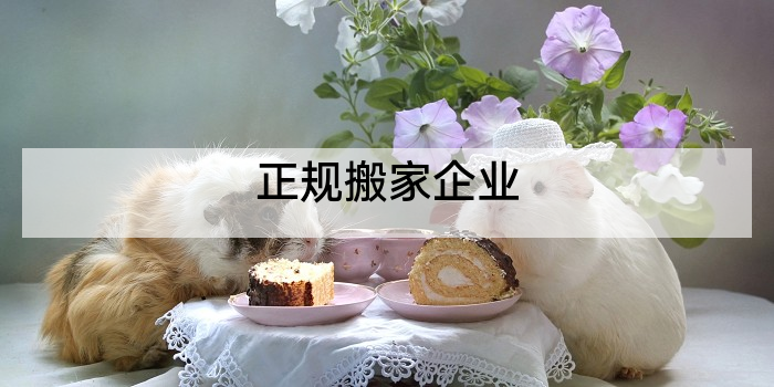 正规搬家企业