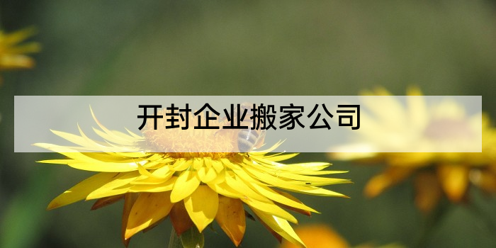 开封企业搬家公司