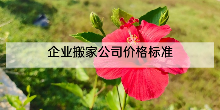 企业搬家公司价格标准