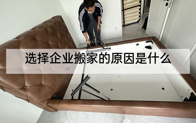 选择企业搬家的原因是什么
