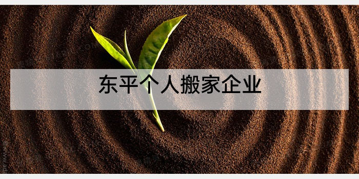 东平个人搬家企业