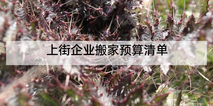 上街企业搬家预算清单