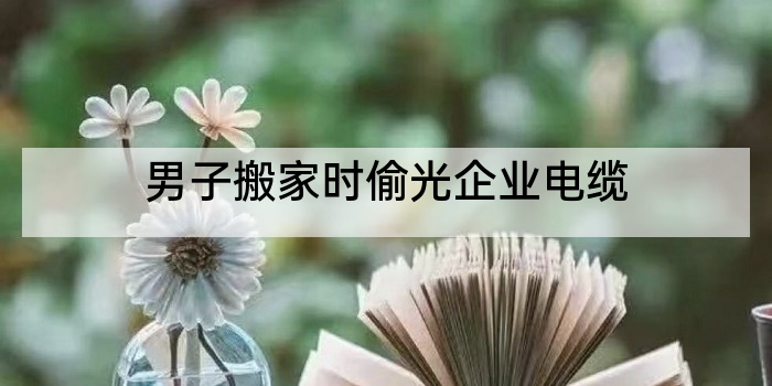 男子搬家时偷光企业电缆
