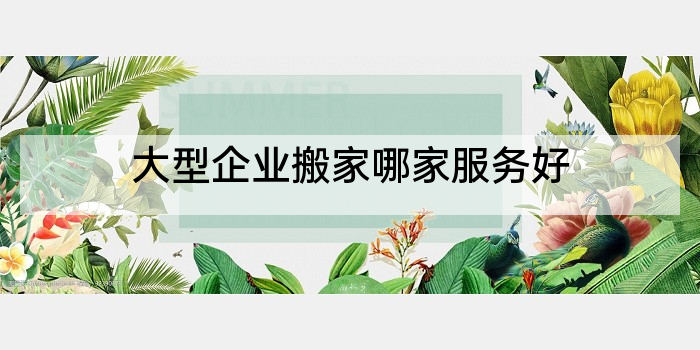 大型企业搬家哪家服务好