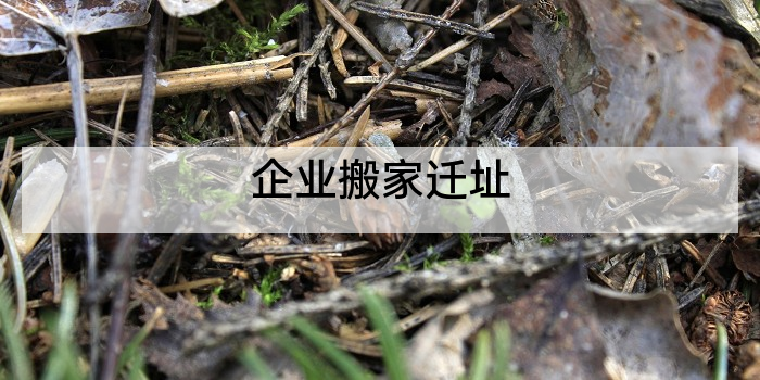 企业搬家迁址