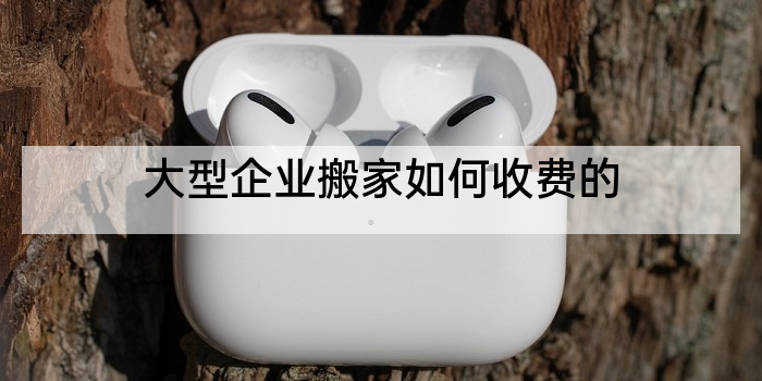 大型企业搬家如何收费的
