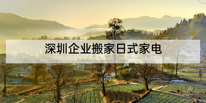 深圳企业搬家日式家电