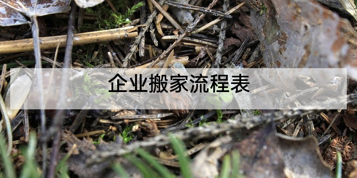 企业搬家流程表