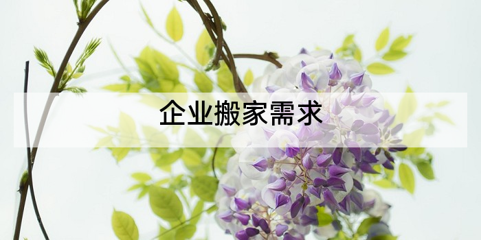 企业搬家需求