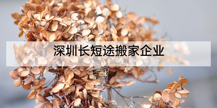 深圳长短途搬家企业
