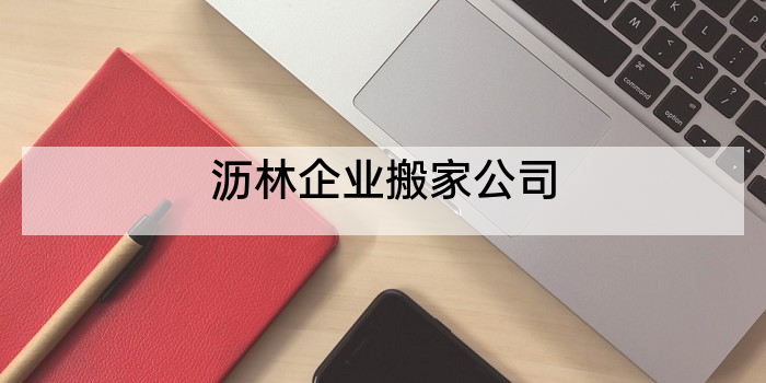 沥林企业搬家公司