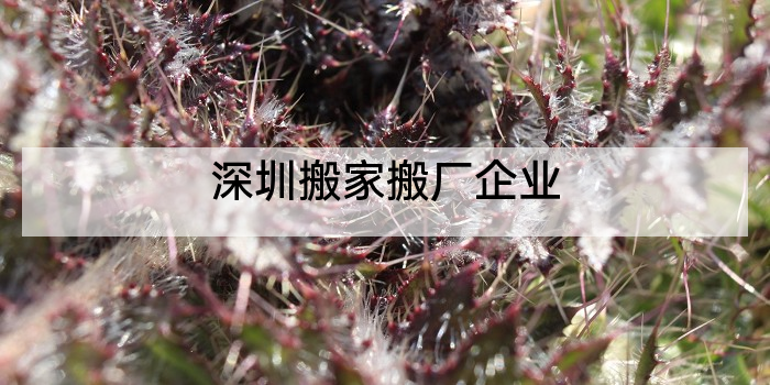 深圳搬家搬厂企业