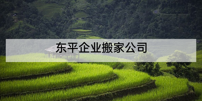 东平企业搬家公司