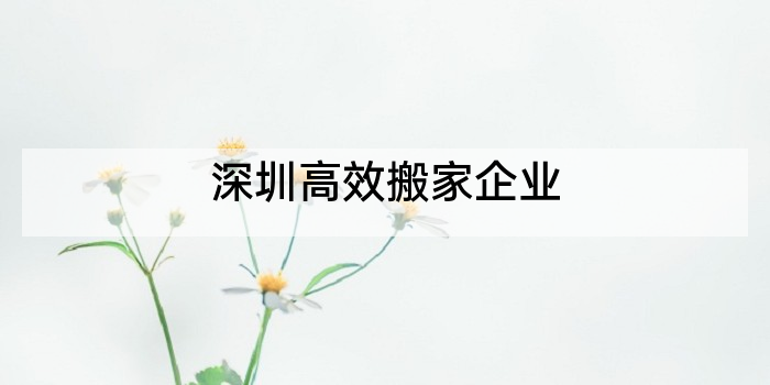 深圳高效搬家企业