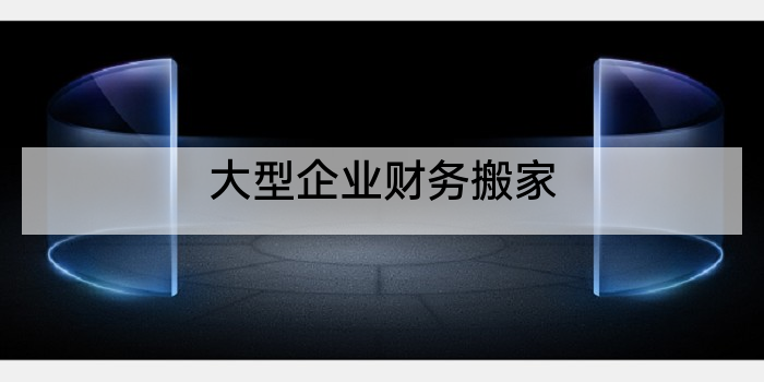 大型企业财务搬家