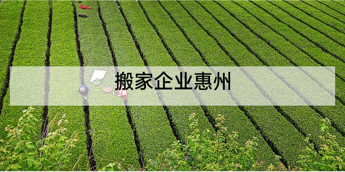 搬家企业惠州