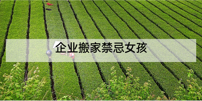 企业搬家禁忌女孩