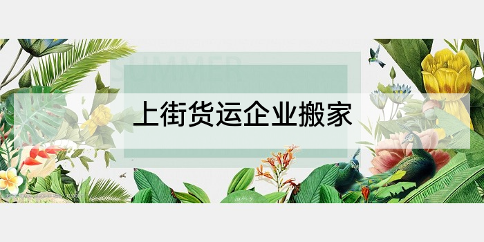 上街货运企业搬家