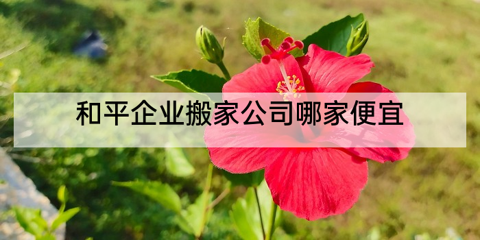 和平企业搬家公司哪家便宜