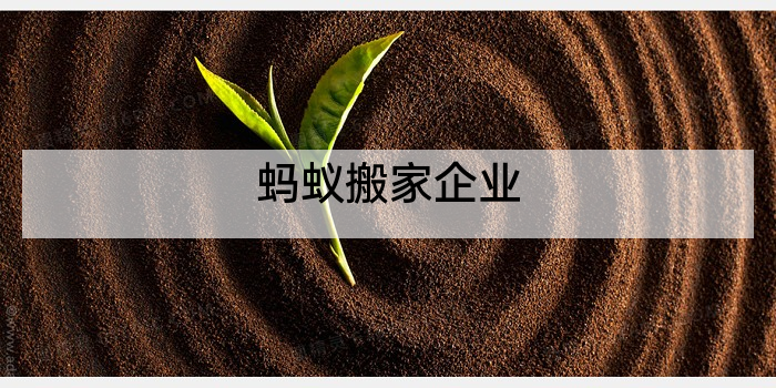 蚂蚁搬家企业