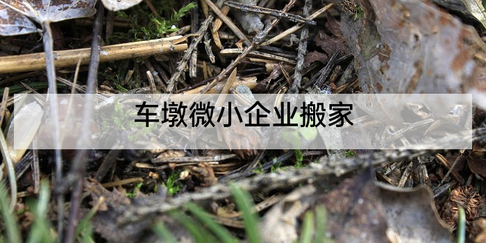 车墩微小企业搬家