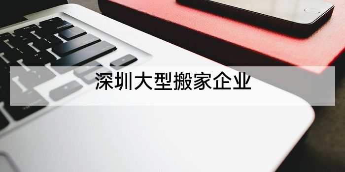 深圳大型搬家企业