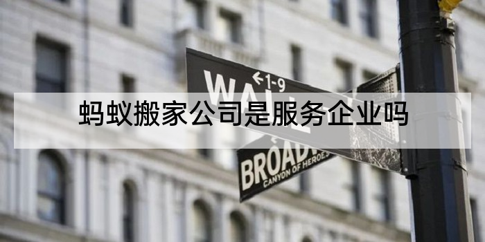蚂蚁搬家公司是服务企业吗