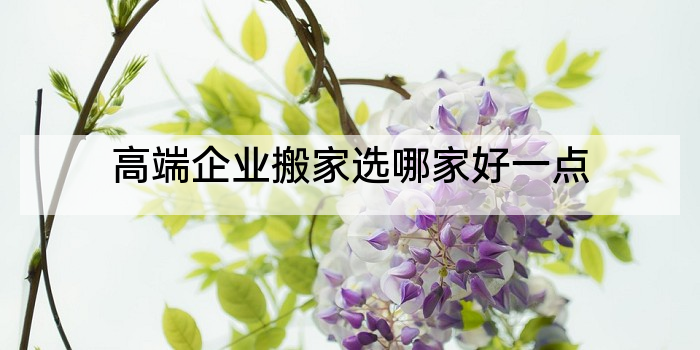 高端企业搬家选哪家好一点