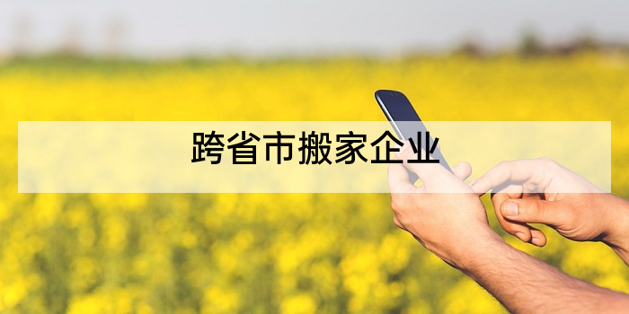 跨省市搬家企业
