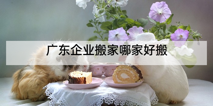 广东企业搬家哪家好搬