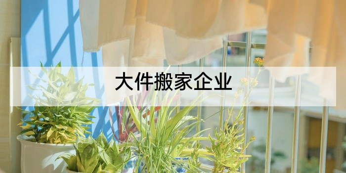 大件搬家企业