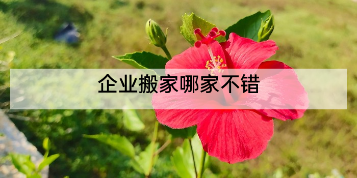 企业搬家哪家不错
