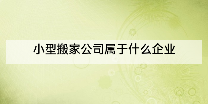 小型搬家公司属于什么企业