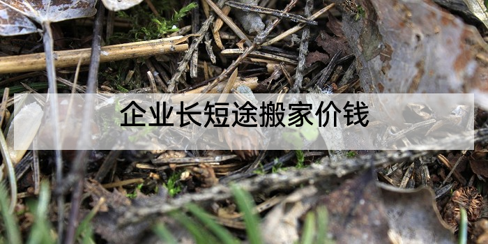 企业长短途搬家价钱