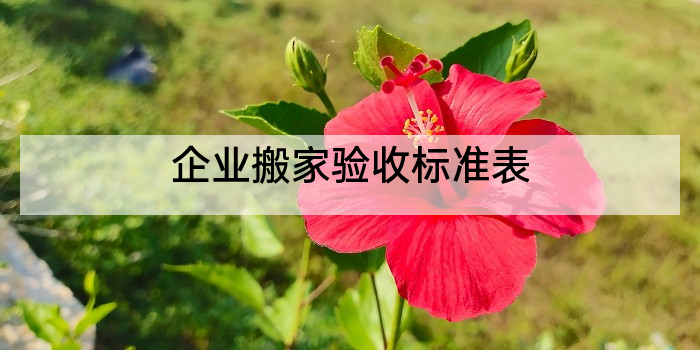 企业搬家验收标准表