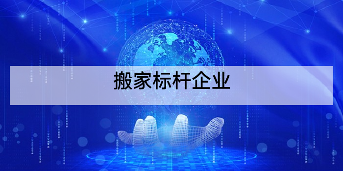 搬家标杆企业